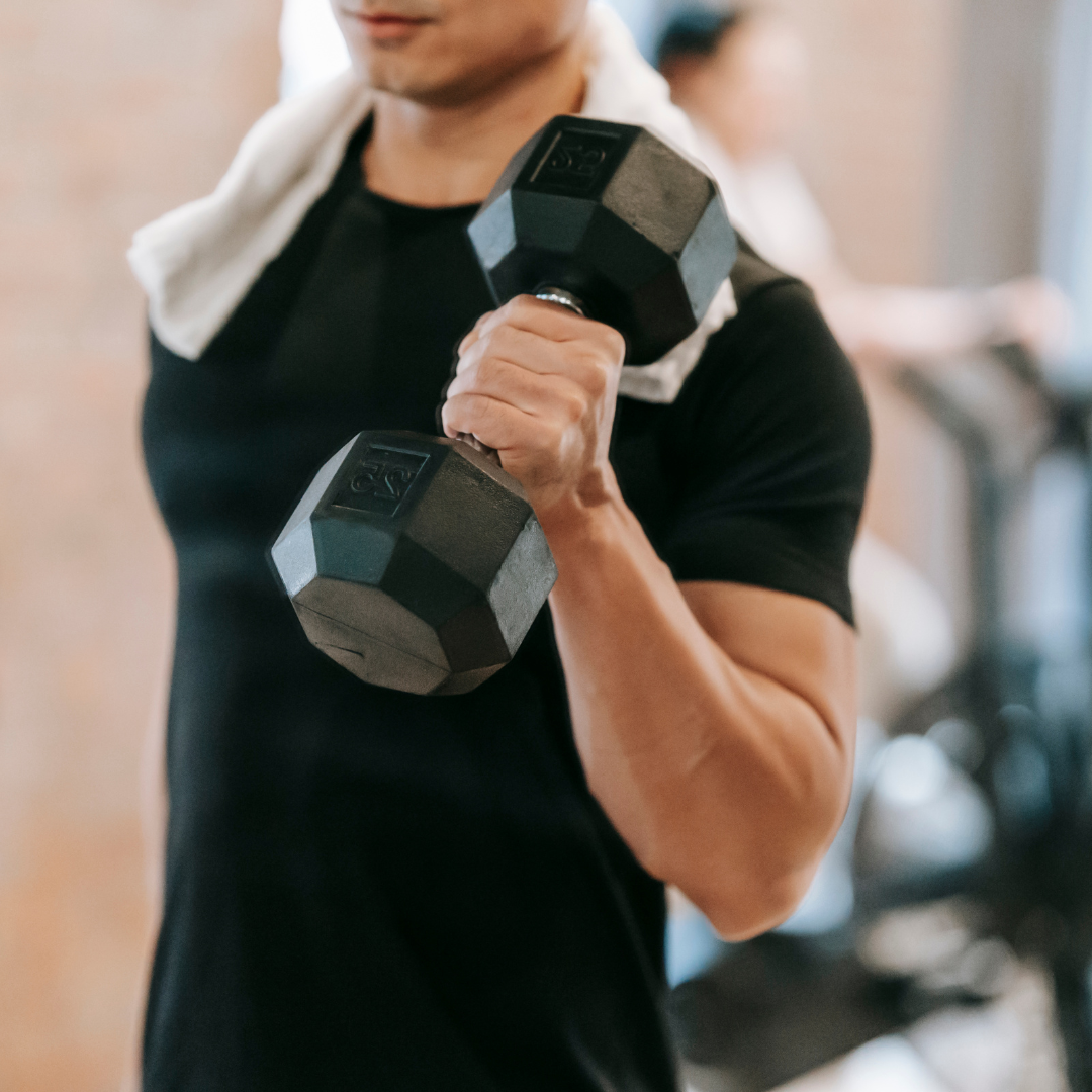 Fitness Equipment